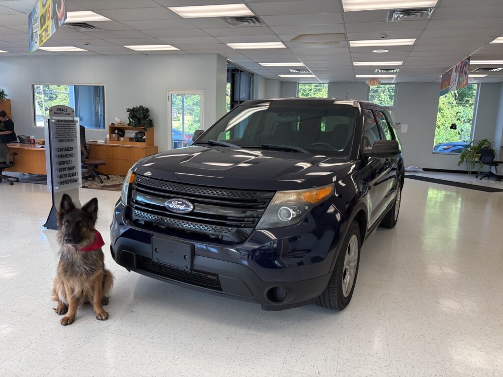 2015 FORD UTILITY POLICE INTERCEPTOR